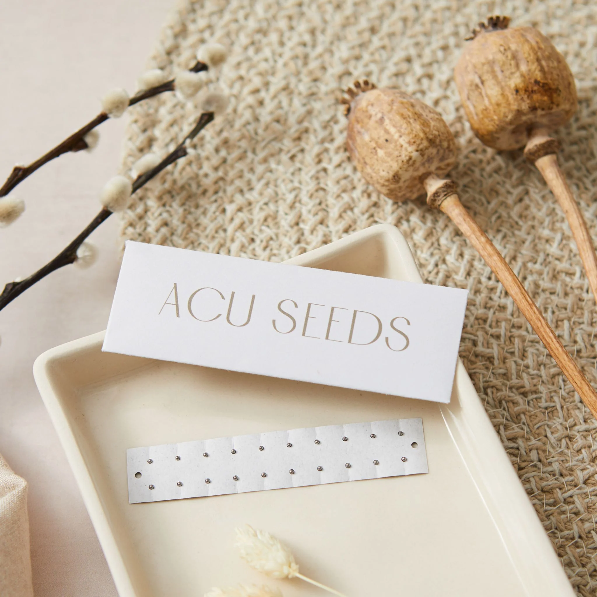 Acu Seeds Ear Seed Refills - Image 3